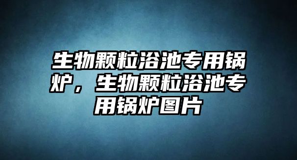 生物顆粒浴池專用鍋爐，生物顆粒浴池專用鍋爐圖片