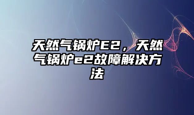 天然氣鍋爐E2，天然氣鍋爐e2故障解決方法