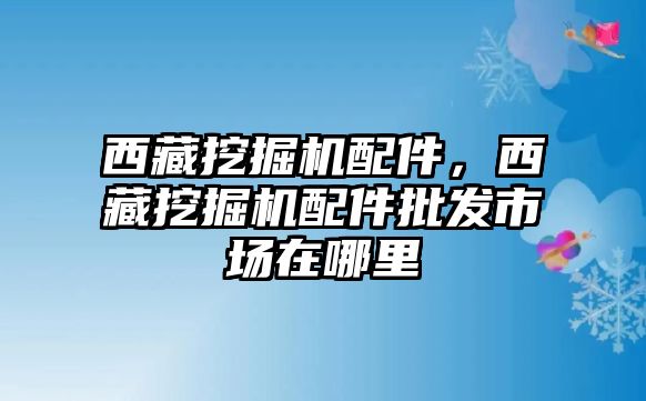 西藏挖掘機(jī)配件，西藏挖掘機(jī)配件批發(fā)市場在哪里