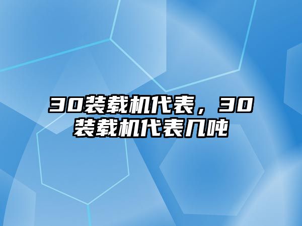 30裝載機代表，30裝載機代表幾噸