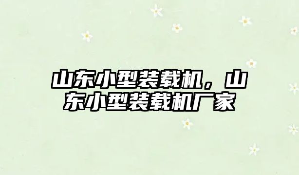 山東小型裝載機，山東小型裝載機廠家