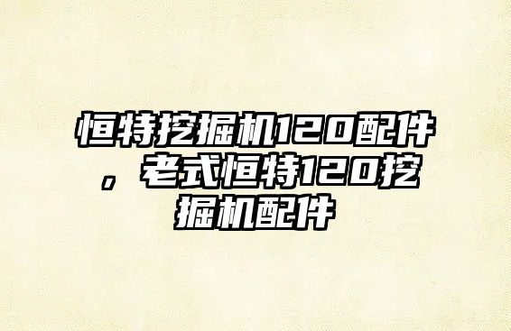 恒特挖掘機(jī)120配件，老式恒特120挖掘機(jī)配件