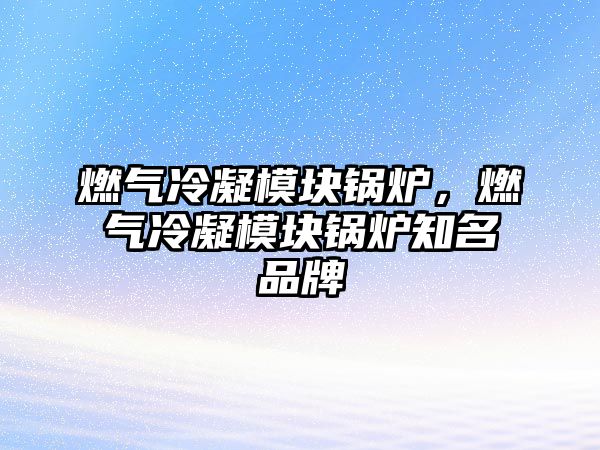 燃氣冷凝模塊鍋爐，燃氣冷凝模塊鍋爐知名品牌