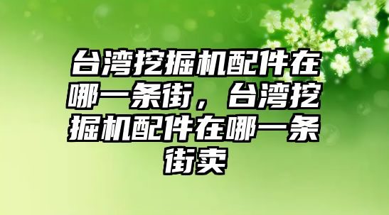 臺(tái)灣挖掘機(jī)配件在哪一條街，臺(tái)灣挖掘機(jī)配件在哪一條街賣