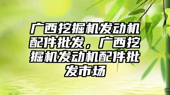 廣西挖掘機發(fā)動機配件批發(fā)，廣西挖掘機發(fā)動機配件批發(fā)市場