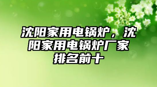 沈陽家用電鍋爐，沈陽家用電鍋爐廠家排名前十