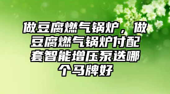 做豆腐燃?xì)忮仩t，做豆腐燃?xì)忮仩t付配套智能增壓泵迭哪個(gè)馬牌好