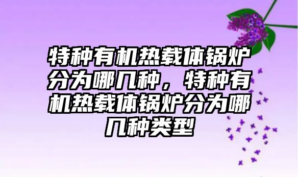 特種有機(jī)熱載體鍋爐分為哪幾種，特種有機(jī)熱載體鍋爐分為哪幾種類型