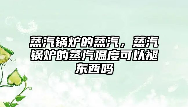 蒸汽鍋爐的蒸汽，蒸汽鍋爐的蒸汽溫度可以褪東西嗎