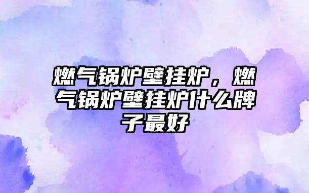 燃?xì)忮仩t壁掛爐，燃?xì)忮仩t壁掛爐什么牌子最好