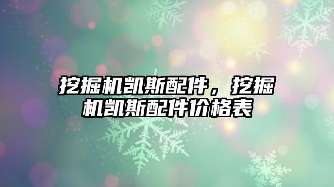 挖掘機(jī)凱斯配件，挖掘機(jī)凱斯配件價(jià)格表