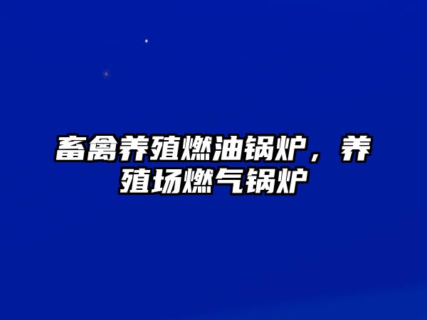 畜禽養(yǎng)殖燃油鍋爐，養(yǎng)殖場燃氣鍋爐