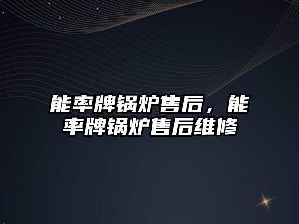 能率牌鍋爐售后，能率牌鍋爐售后維修