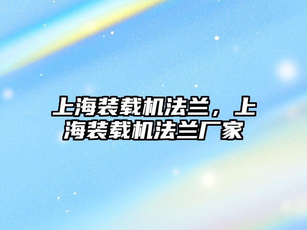 上海裝載機法蘭，上海裝載機法蘭廠家