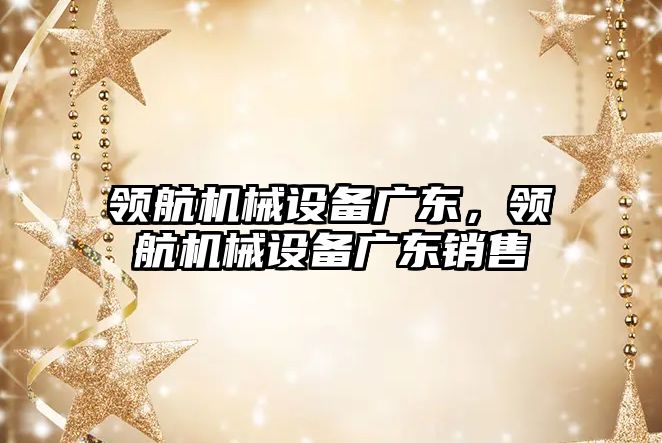 領(lǐng)航機械設(shè)備廣東，領(lǐng)航機械設(shè)備廣東銷售