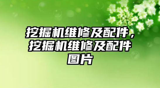 挖掘機維修及配件，挖掘機維修及配件圖片