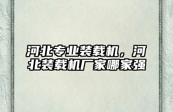 河北專業(yè)裝載機，河北裝載機廠家哪家強