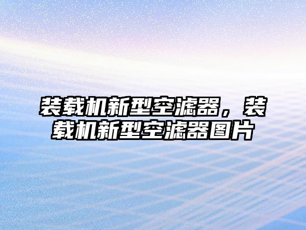 裝載機(jī)新型空濾器，裝載機(jī)新型空濾器圖片