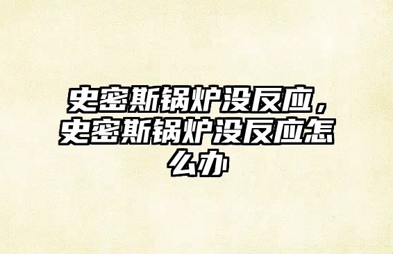 史密斯鍋爐沒反應，史密斯鍋爐沒反應怎么辦