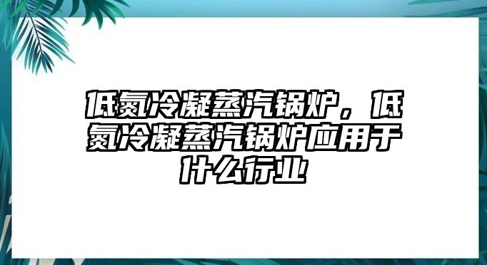 低氮冷凝蒸汽鍋爐，低氮冷凝蒸汽鍋爐應用于什么行業(yè)