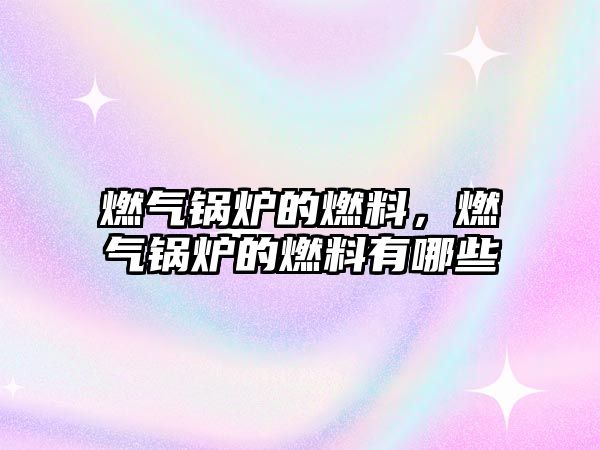 燃?xì)忮仩t的燃料，燃?xì)忮仩t的燃料有哪些