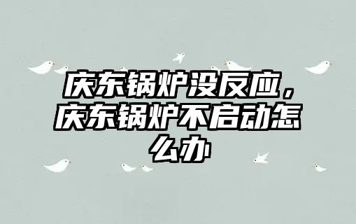 慶東鍋爐沒反應(yīng)，慶東鍋爐不啟動怎么辦