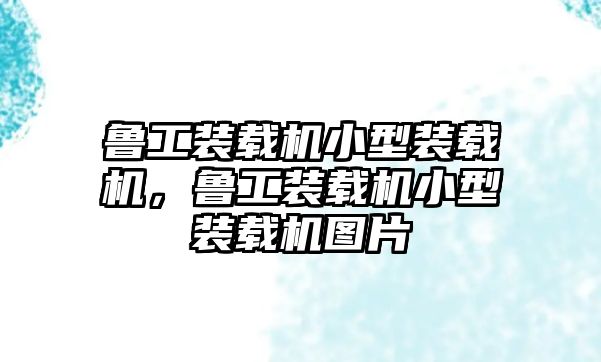 魯工裝載機(jī)小型裝載機(jī)，魯工裝載機(jī)小型裝載機(jī)圖片