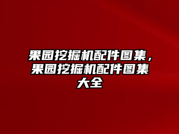 果園挖掘機(jī)配件圖集，果園挖掘機(jī)配件圖集大全