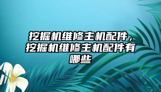 挖掘機維修主機配件，挖掘機維修主機配件有哪些