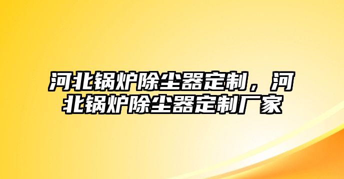 河北鍋爐除塵器定制，河北鍋爐除塵器定制廠家