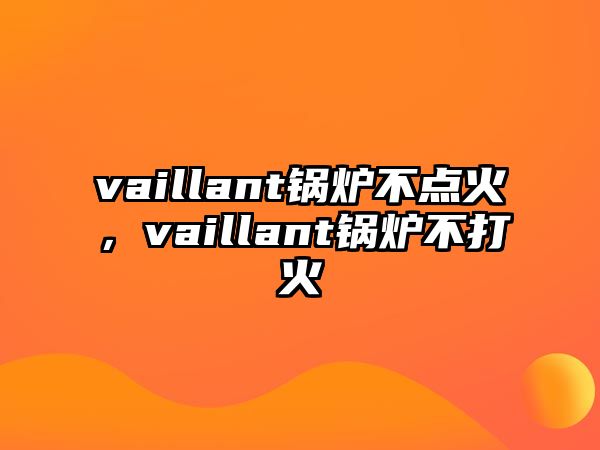 vaillant鍋爐不點火，vaillant鍋爐不打火