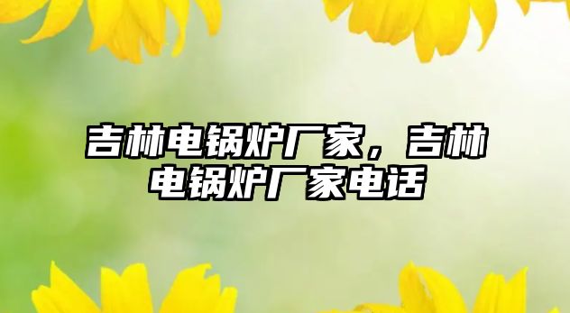 吉林電鍋爐廠家，吉林電鍋爐廠家電話