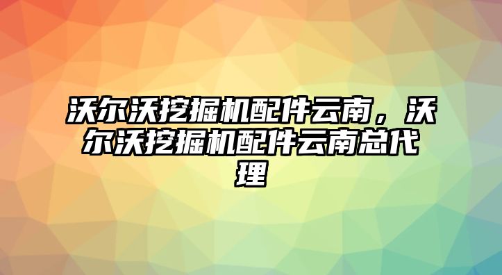 沃爾沃挖掘機(jī)配件云南，沃爾沃挖掘機(jī)配件云南總代理