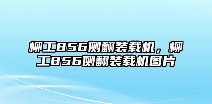 柳工856側(cè)翻裝載機(jī)，柳工856側(cè)翻裝載機(jī)圖片