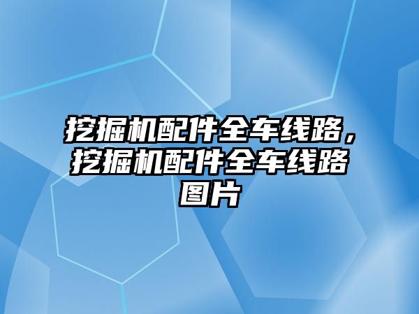 挖掘機配件全車線路，挖掘機配件全車線路圖片