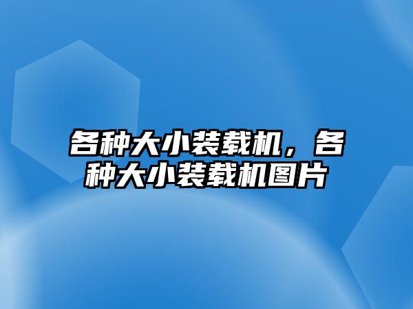 各種大小裝載機，各種大小裝載機圖片