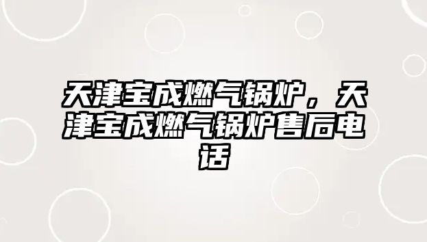 天津?qū)毘扇細(xì)忮仩t，天津?qū)毘扇細(xì)忮仩t售后電話