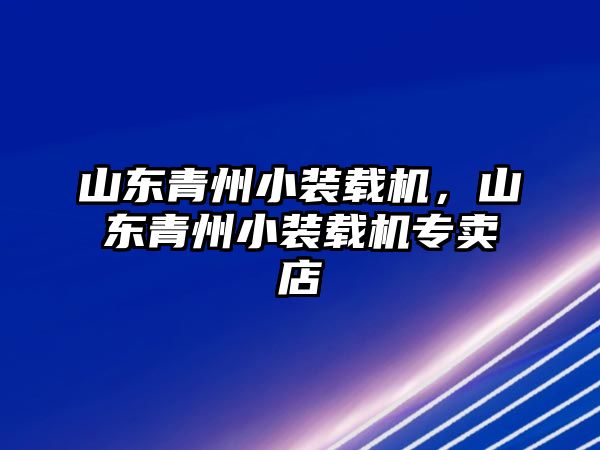 山東青州小裝載機，山東青州小裝載機專賣店