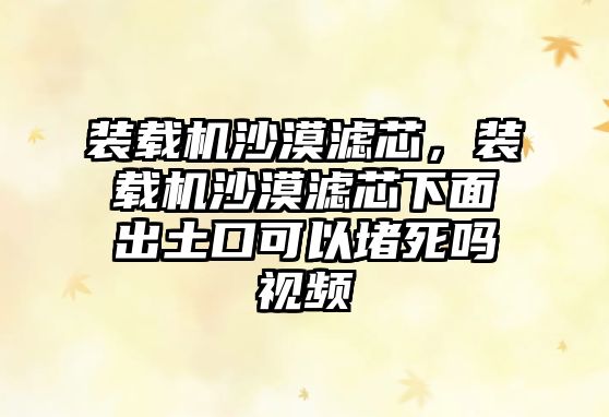 裝載機(jī)沙漠濾芯，裝載機(jī)沙漠濾芯下面出土口可以堵死嗎視頻