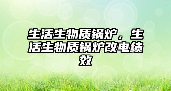 生活生物質(zhì)鍋爐，生活生物質(zhì)鍋爐改電績效