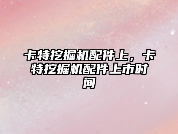 卡特挖掘機配件上，卡特挖掘機配件上市時間