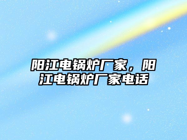 陽江電鍋爐廠家，陽江電鍋爐廠家電話