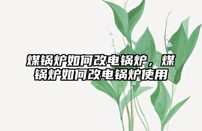 煤鍋爐如何改電鍋爐，煤鍋爐如何改電鍋爐使用