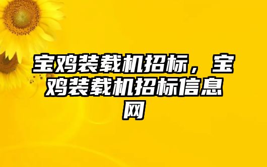 寶雞裝載機招標(biāo)，寶雞裝載機招標(biāo)信息網(wǎng)