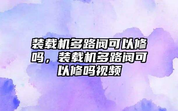 裝載機多路閥可以修嗎，裝載機多路閥可以修嗎視頻