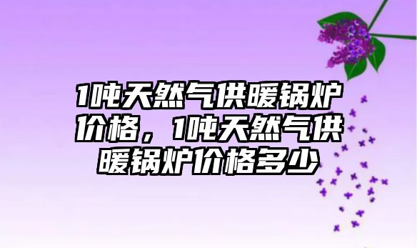 1噸天然氣供暖鍋爐價格，1噸天然氣供暖鍋爐價格多少