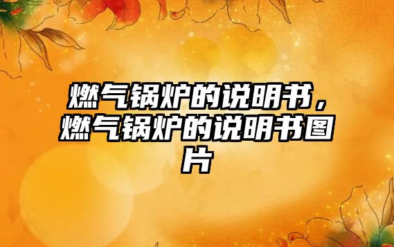 燃?xì)忮仩t的說明書，燃?xì)忮仩t的說明書圖片