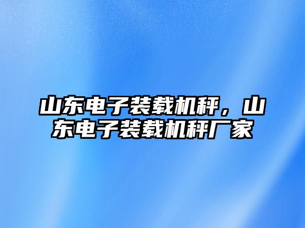 山東電子裝載機秤，山東電子裝載機秤廠家