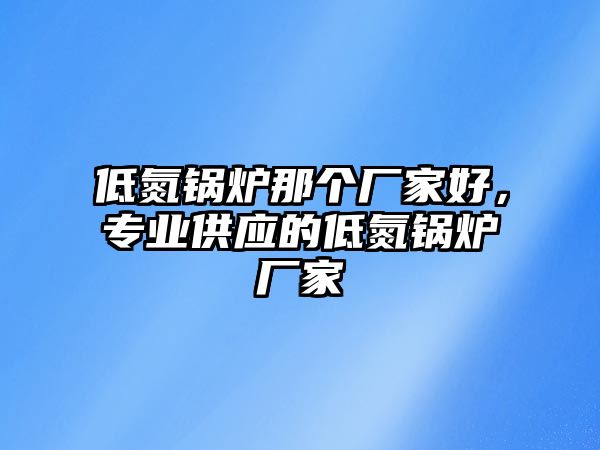 低氮鍋爐那個廠家好，專業(yè)供應(yīng)的低氮鍋爐廠家