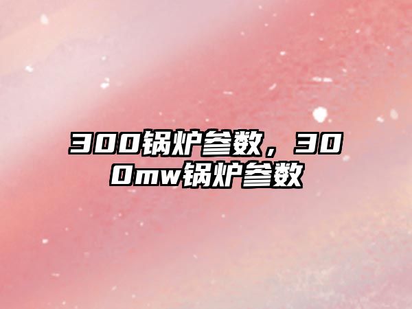 300鍋爐參數(shù)，300mw鍋爐參數(shù)